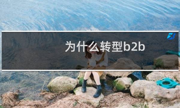 为什么转型b2b