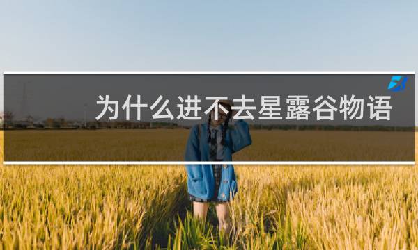 为什么进不去星露谷物语