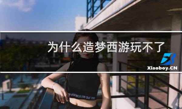 为什么造梦西游玩不了