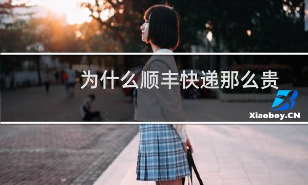为什么顺丰快递那么贵