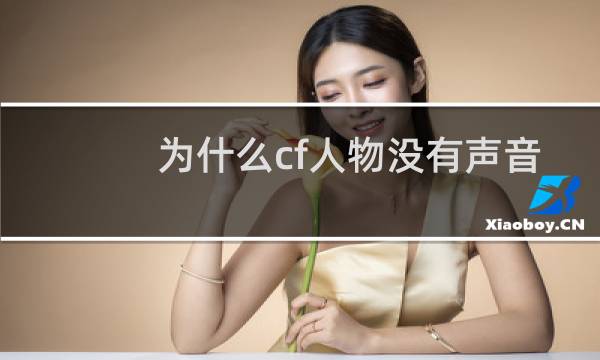 为什么cf人物没有声音