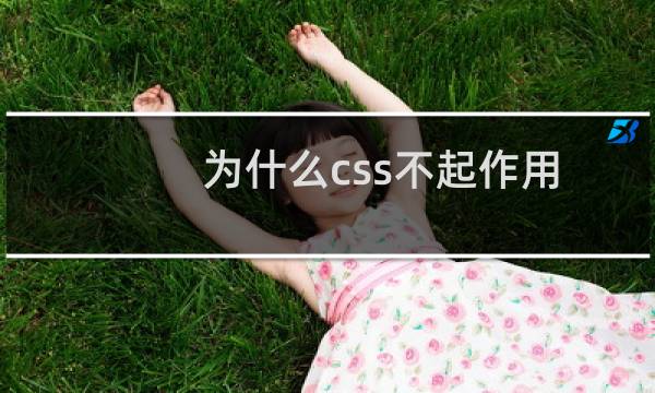为什么css不起作用
