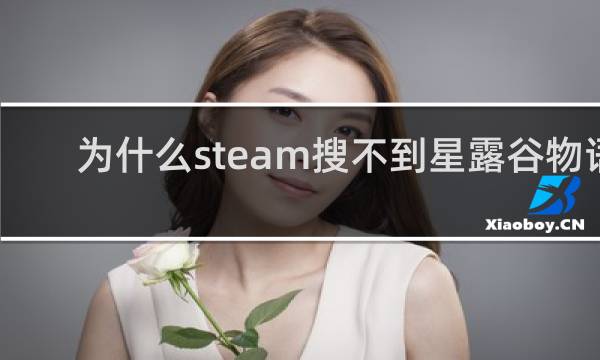 为什么steam搜不到星露谷物语