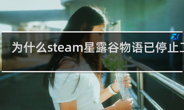 为什么steam星露谷物语已停止工作