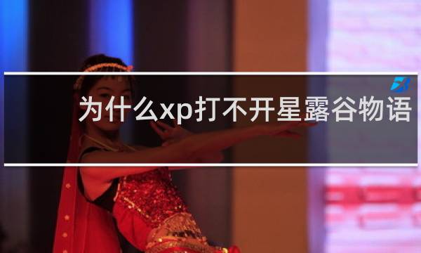 为什么xp打不开星露谷物语