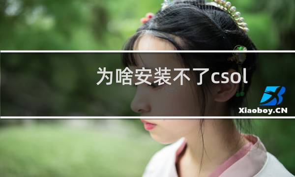 为啥安装不了csol
