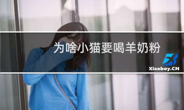 为啥小猫要喝羊奶粉
