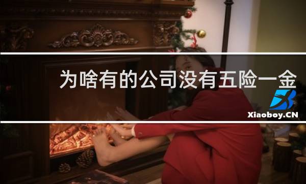 为啥有的公司没有五险一金