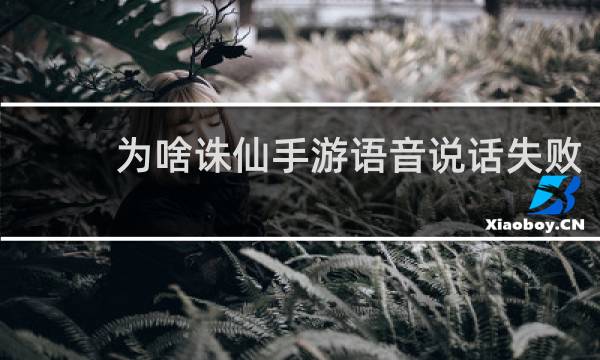 为啥诛仙手游语音说话失败