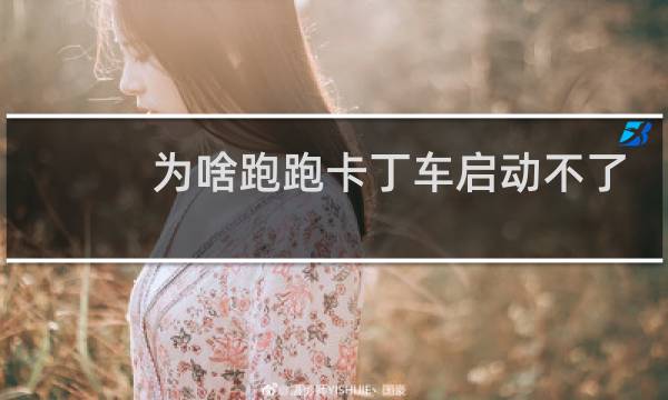 为啥跑跑卡丁车启动不了