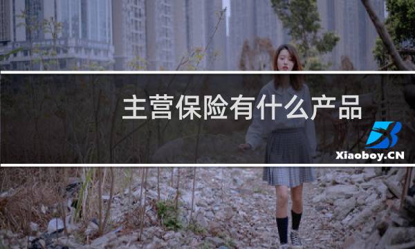 主营保险有什么产品