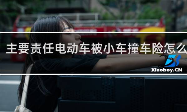 主要责任电动车被小车撞车险怎么赔付