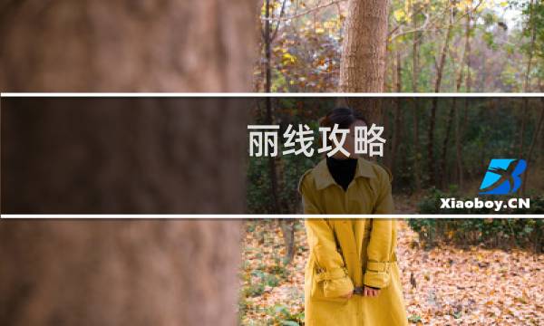 丽线攻略