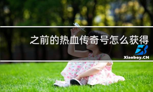 之前的热血传奇号怎么获得