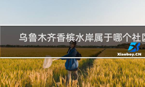 乌鲁木齐香槟水岸属于哪个社区
