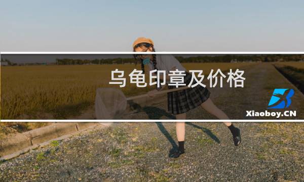 乌龟印章及价格