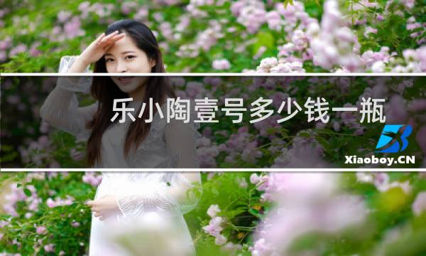 乐小陶壹号多少钱一瓶