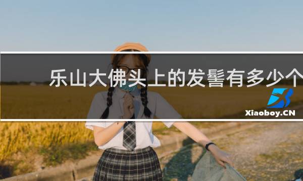 乐山大佛头上的发髻有多少个