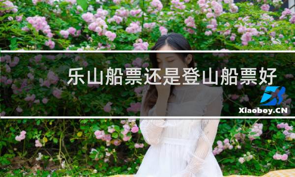 乐山船票还是登山船票好