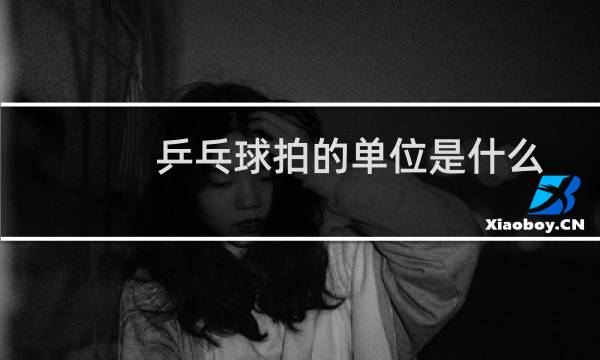乒乓球拍的单位是什么