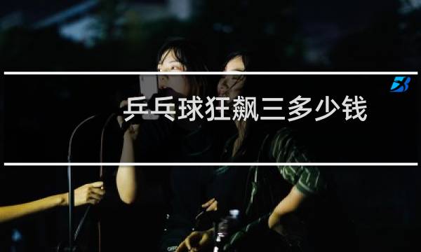 乒乓球狂飙三多少钱