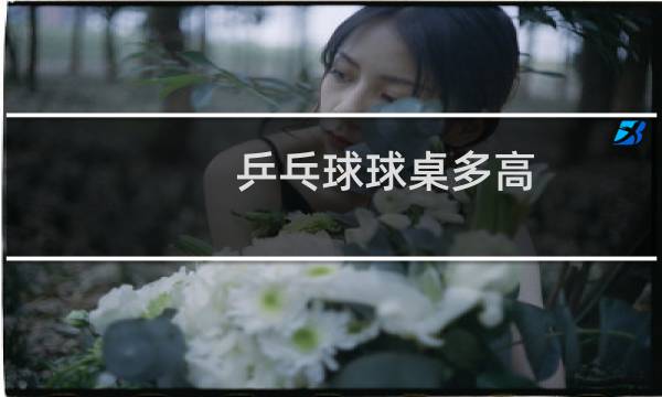 乒乓球球桌多高