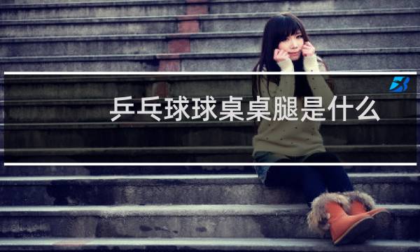 乒乓球球桌桌腿是什么