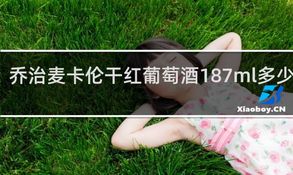 乔治麦卡伦干红葡萄酒187ml多少一箱