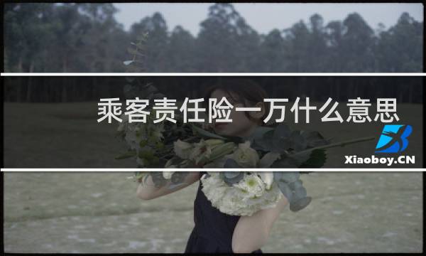 乘客责任险一万什么意思