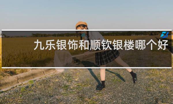 九乐银饰和顺钦银楼哪个好