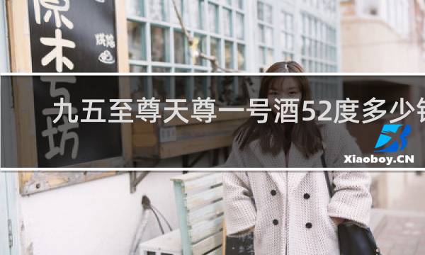 九五至尊天尊一号酒52度多少钱