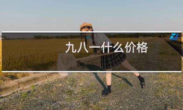 九八一什么价格