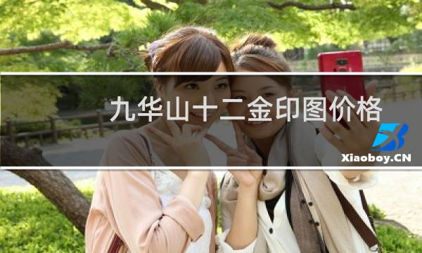 九华山十二金印图价格