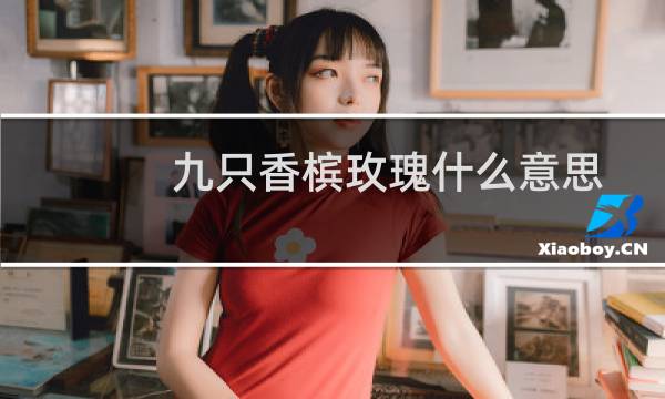 九只香槟玫瑰什么意思