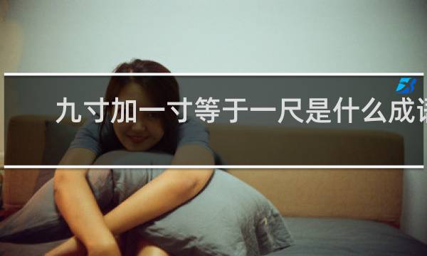 九寸加一寸等于一尺是什么成语