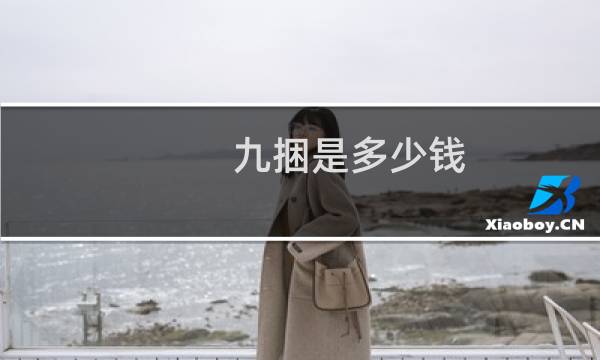 九捆是多少钱