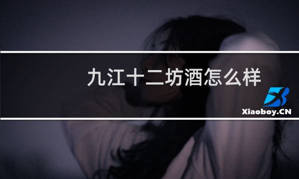 九江十二坊酒怎么样
