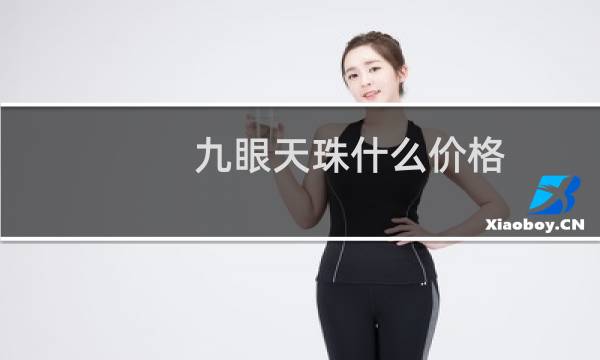 九眼天珠什么价格