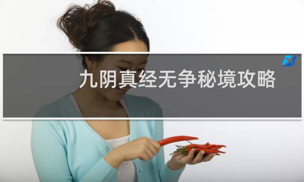 九阴真经无争秘境攻略