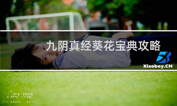 九阴真经葵花宝典攻略