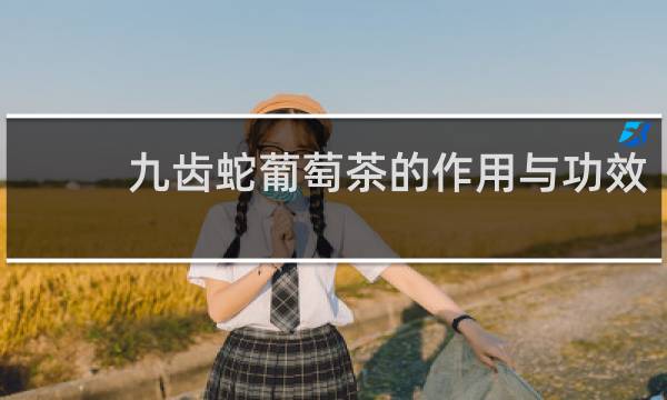 九齿蛇葡萄茶的作用与功效