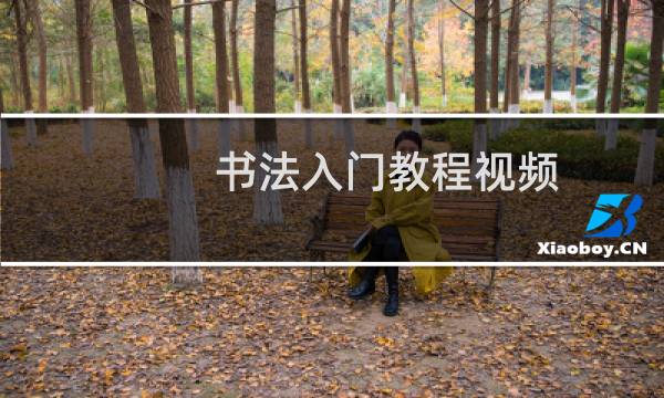 书法入门教程视频