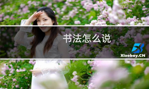 书法怎么说