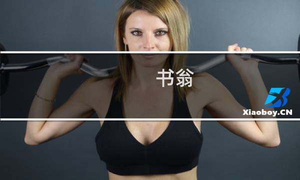 书翁 攻略