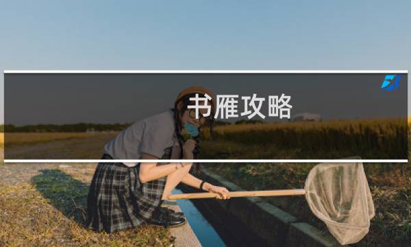 书雁攻略
