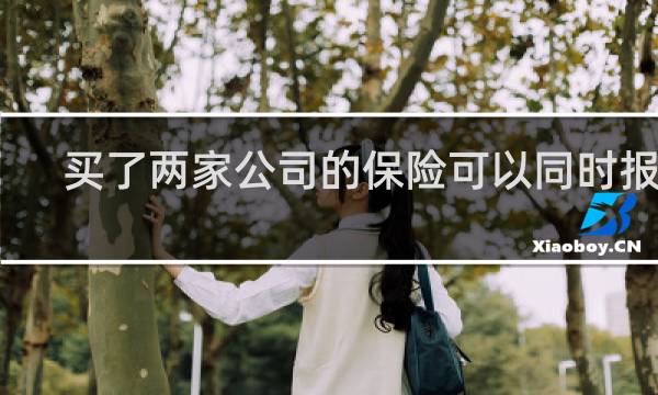买了两家公司的保险可以同时报吗