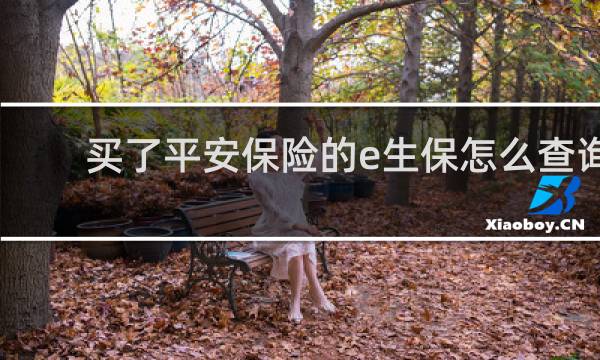 买了平安保险的e生保怎么查询