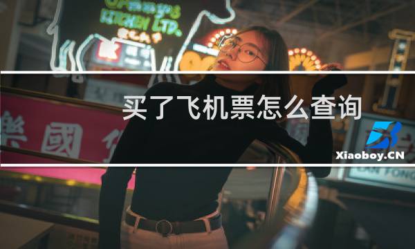 买了飞机票怎么查询