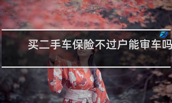 买二手车保险不过户能审车吗