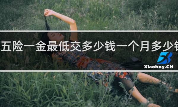 买五险一金最低交多少钱一个月多少钱一个月